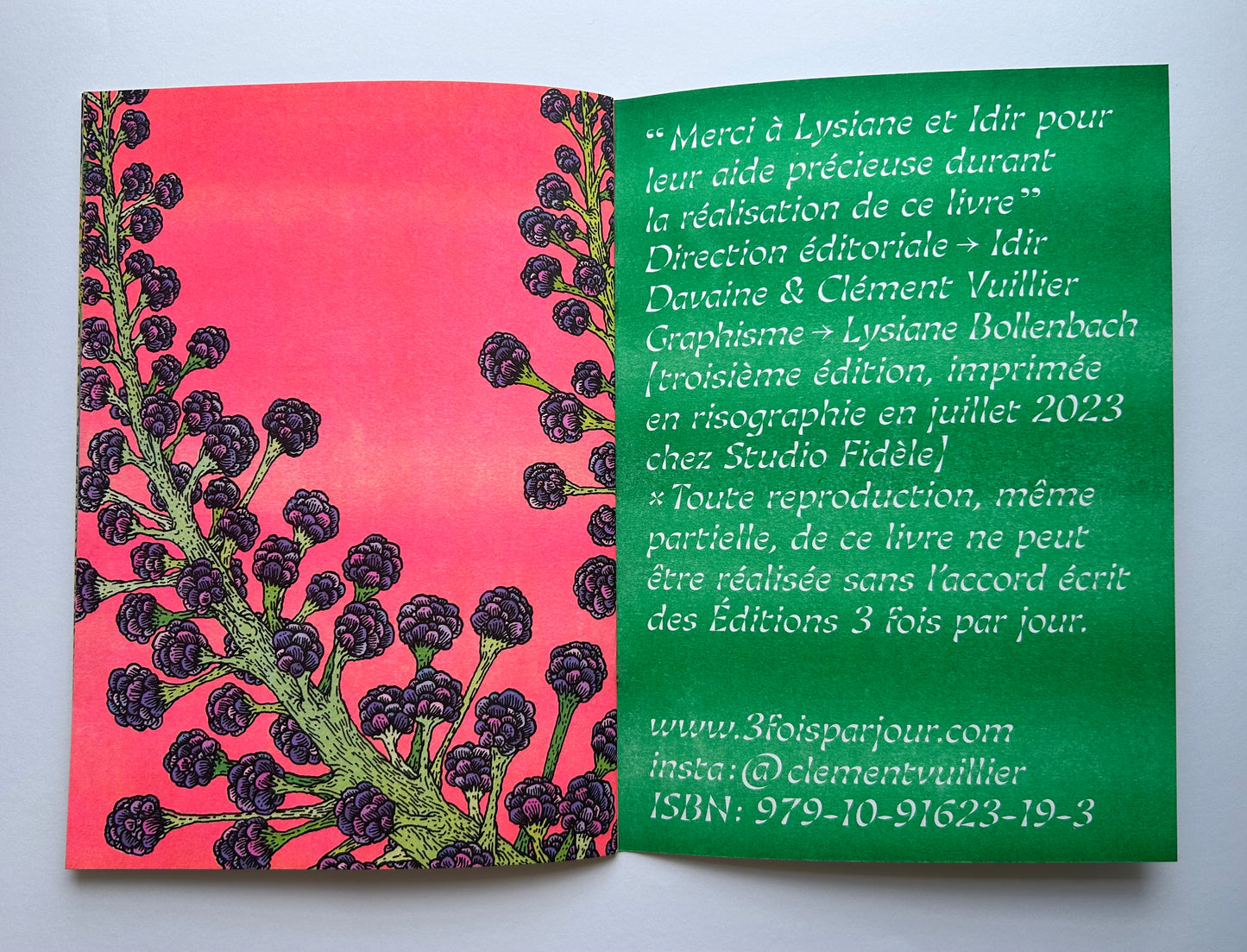 LES SUCCULENTES by Clement Vuillier