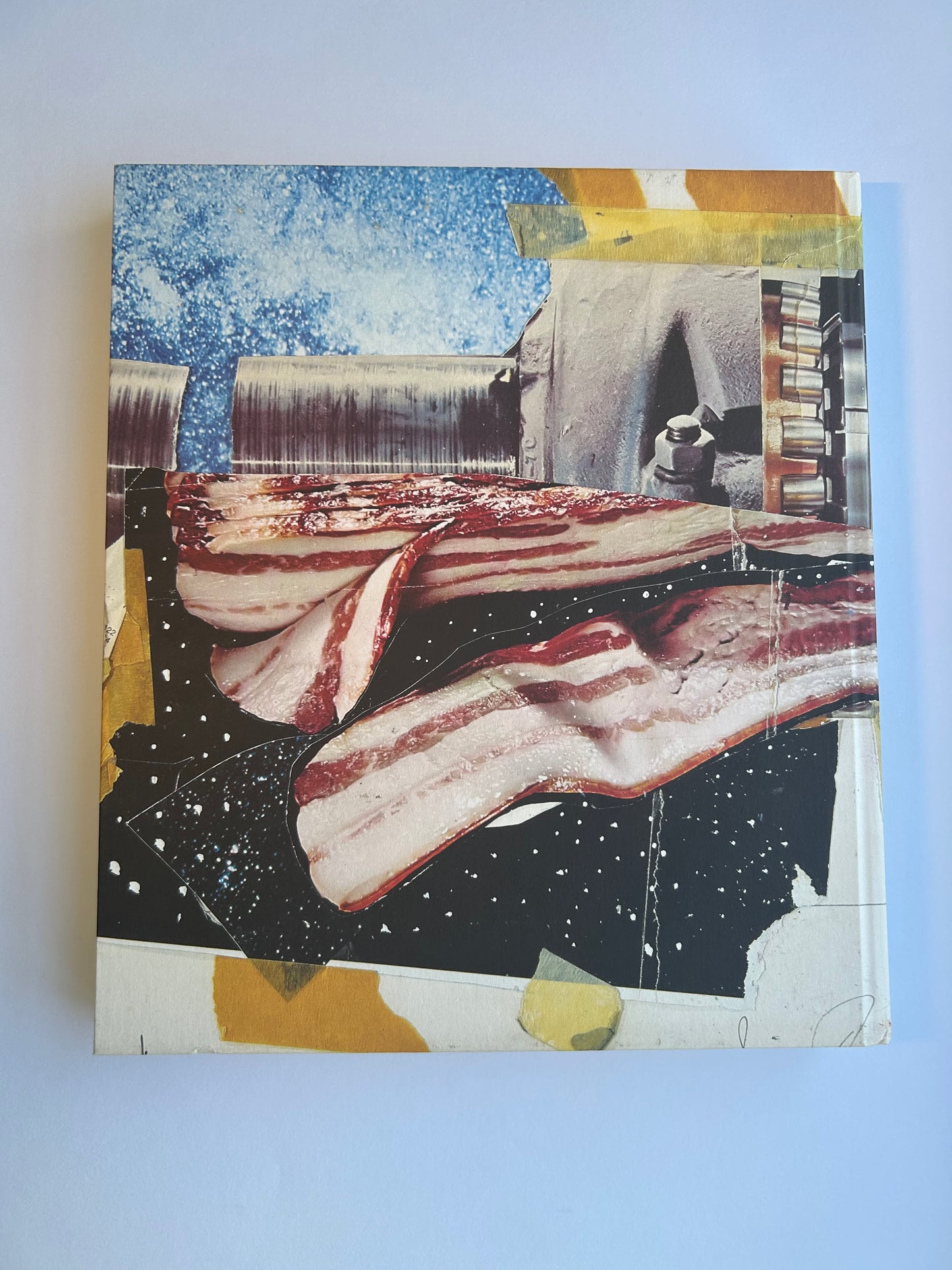 Painting as Immersion by James Rosenquist