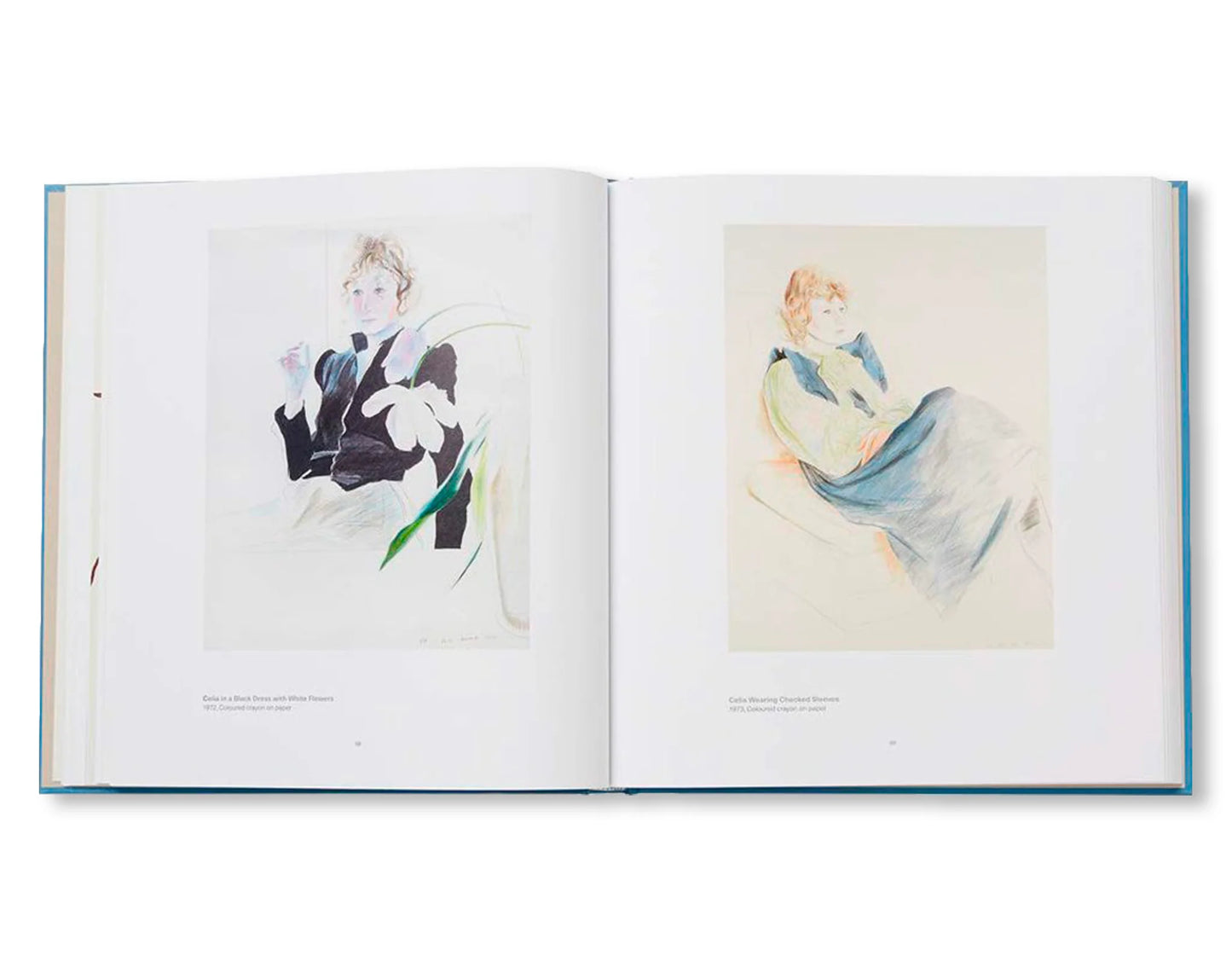 Drawing from life    by David Hockney