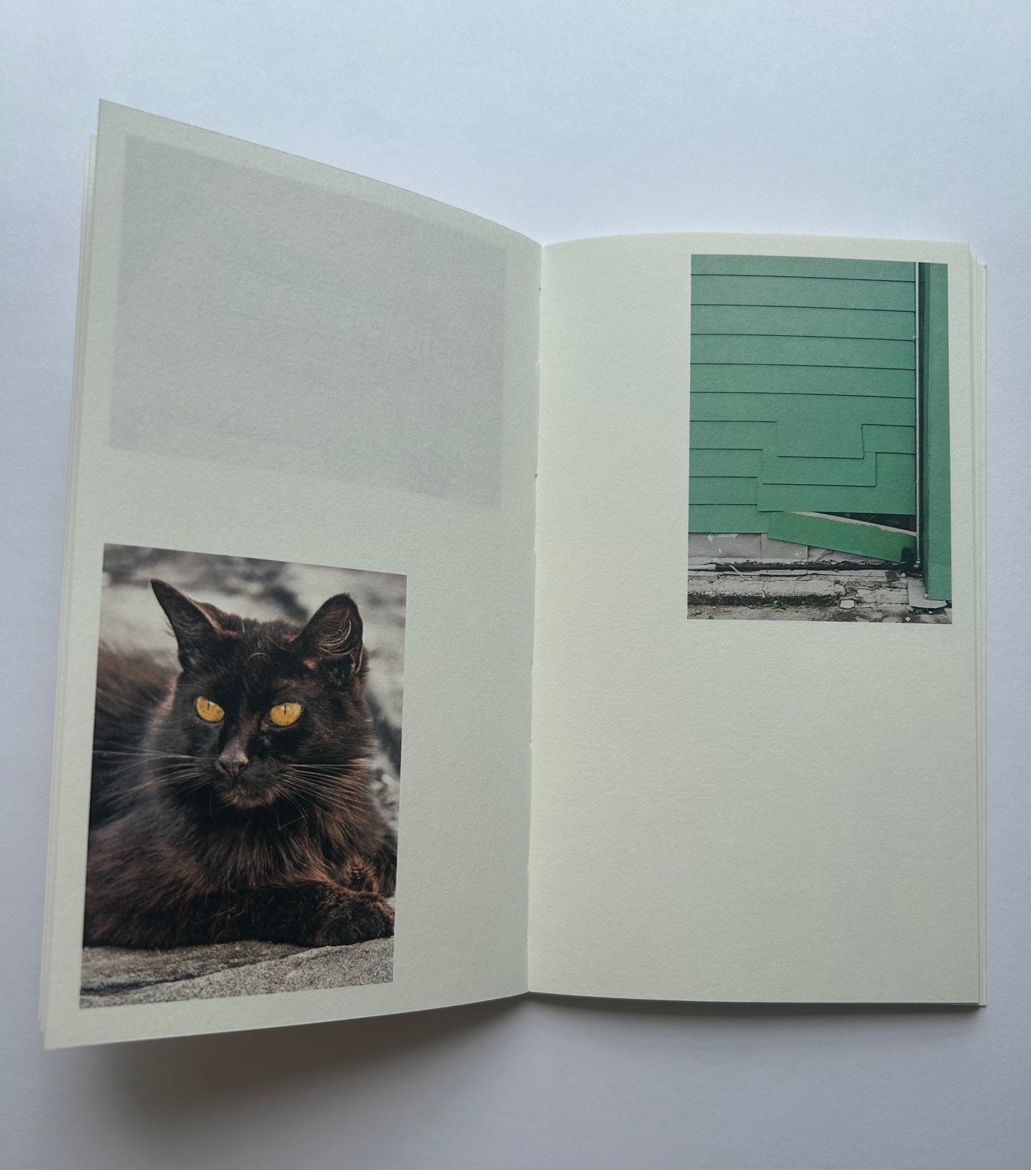 Walking in Place 1: New Orleans  by Mike Slack