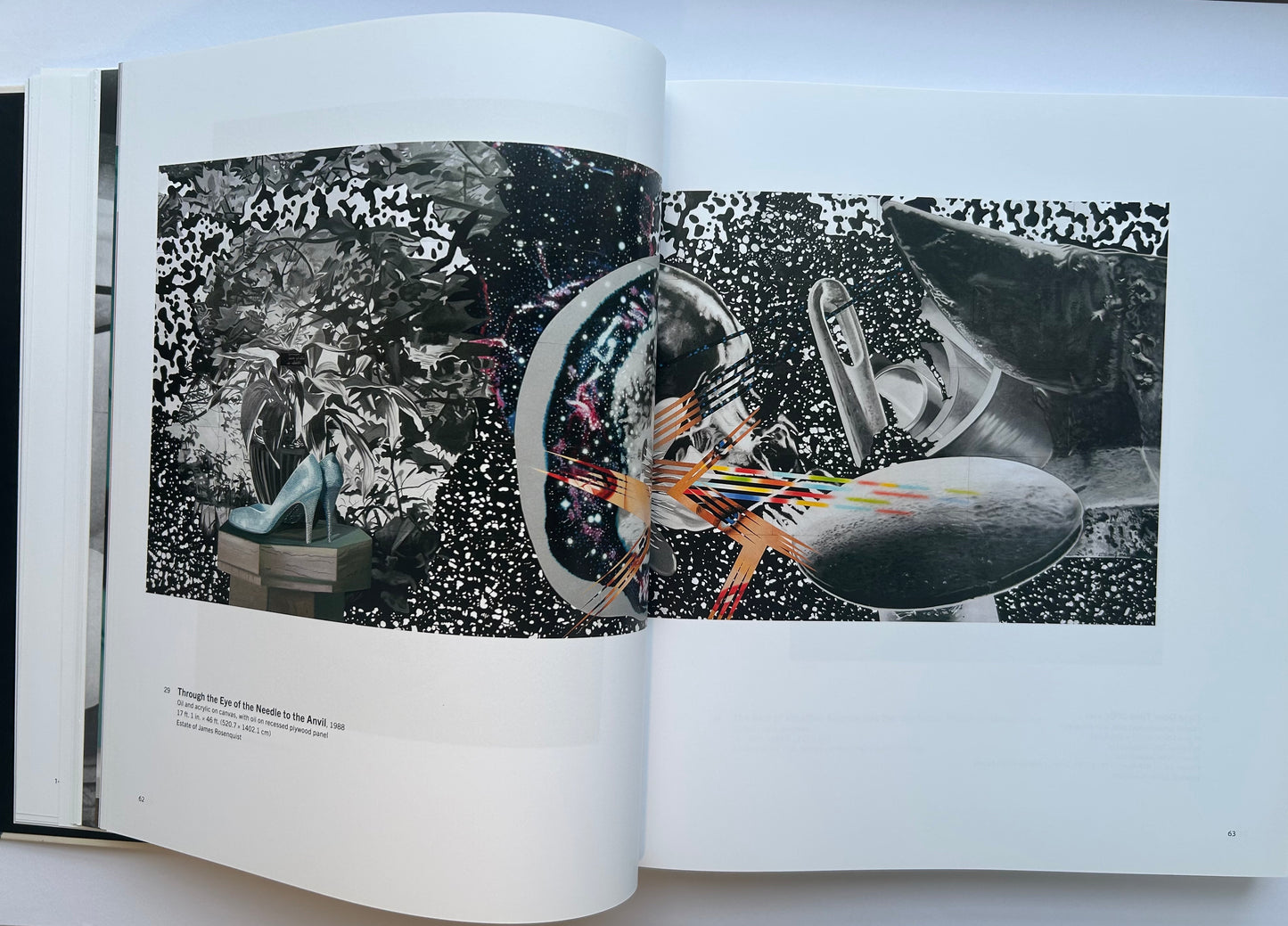 Painting as Immersion　by James Rosenquist