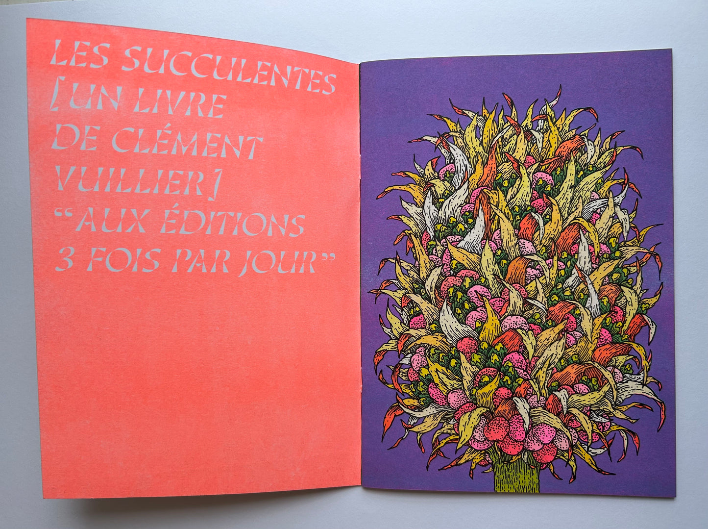 LES SUCCULENTES  by Clement Vuillier