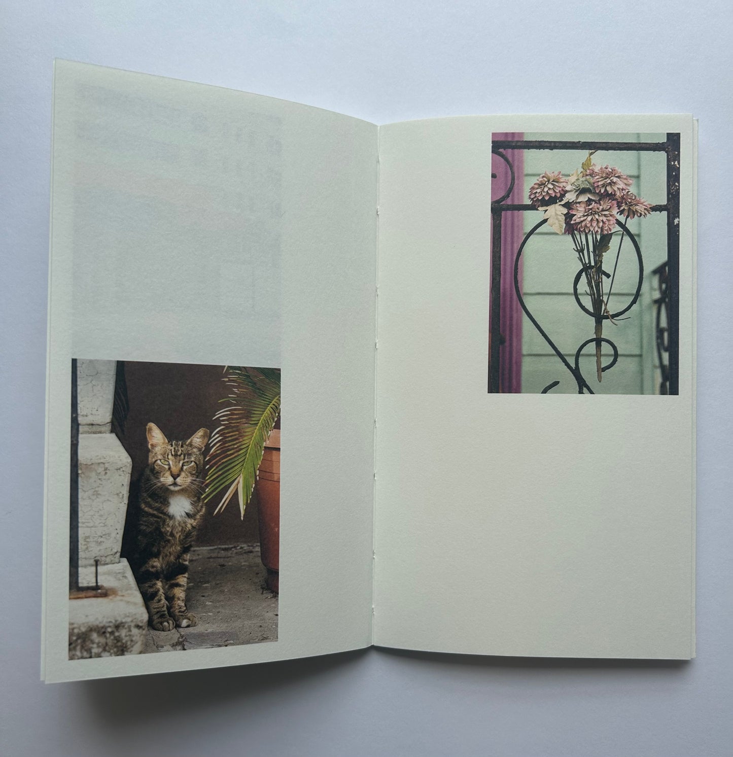 Walking in Place 1: New Orleans  by Mike Slack