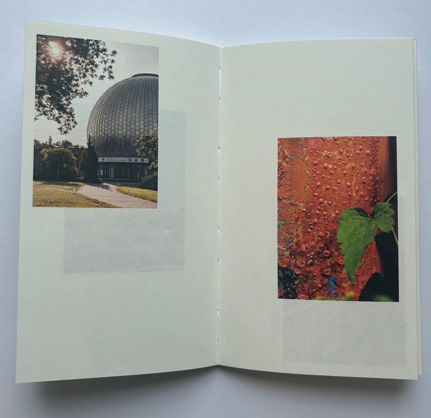 Walking in Place 1: New Orleans  by Mike Slack