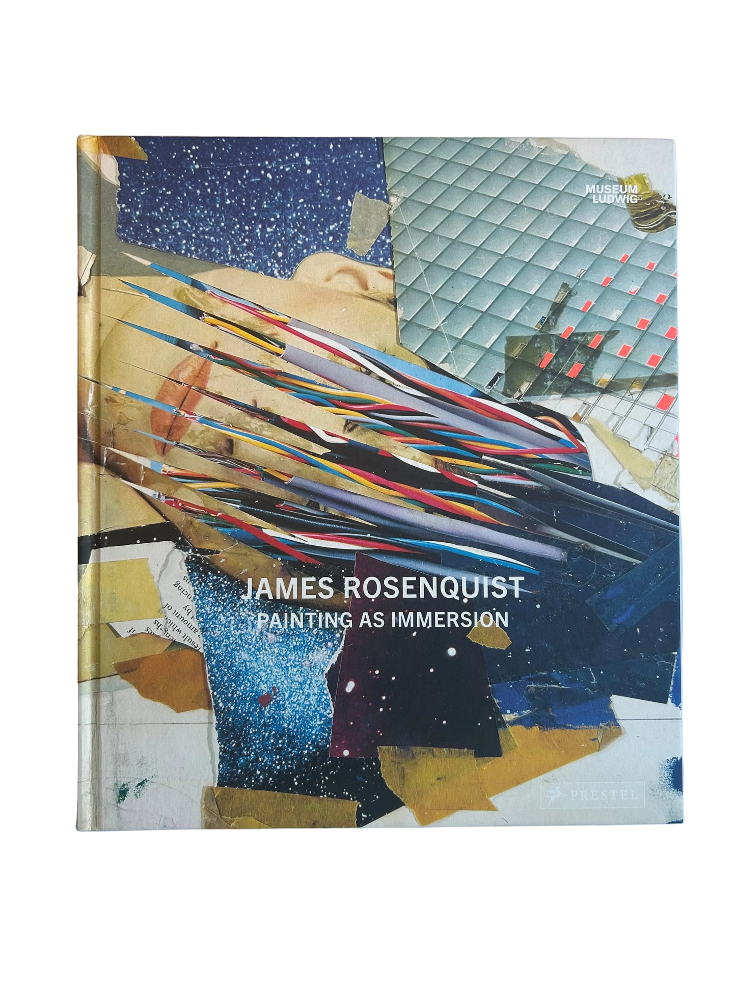 Painting as Immersion　by James Rosenquist