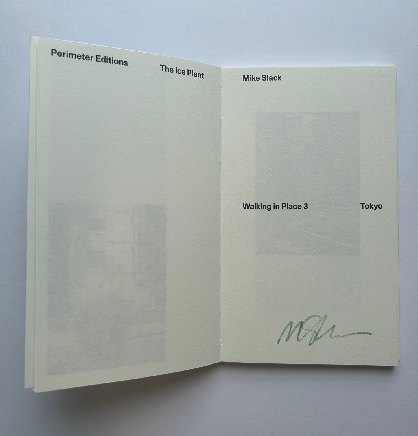 Walking in Place 3: Tokyo  by Mike Slack