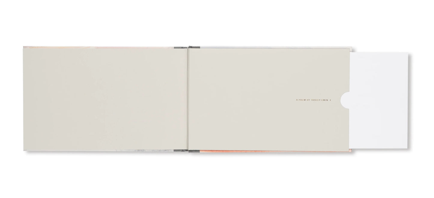 Turner's Last Sketchbook   by J.M.W.Turner