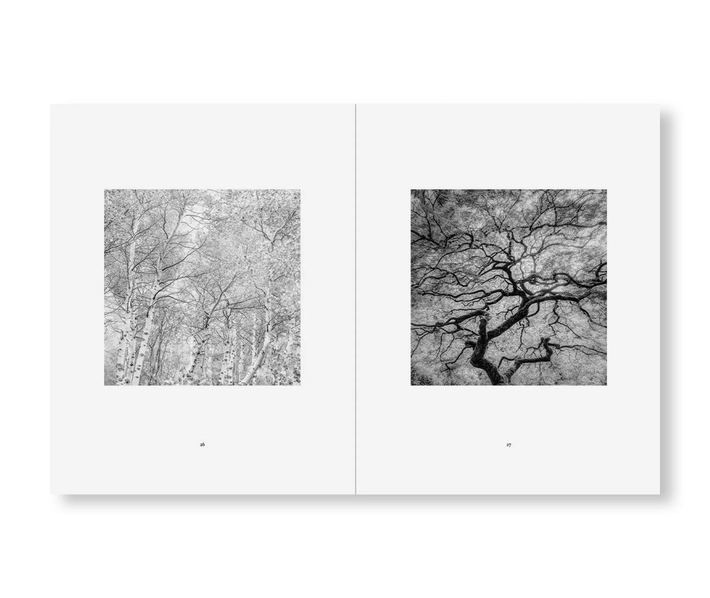 REVERENCE   by Jeffrey Conley [REMASTERED EDITION]