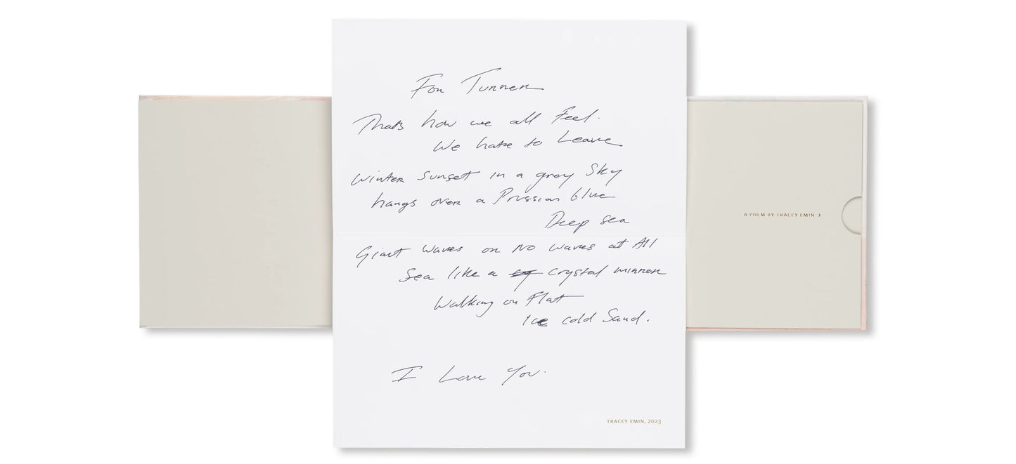 Turner's Last Sketchbook   by J.M.W.Turner