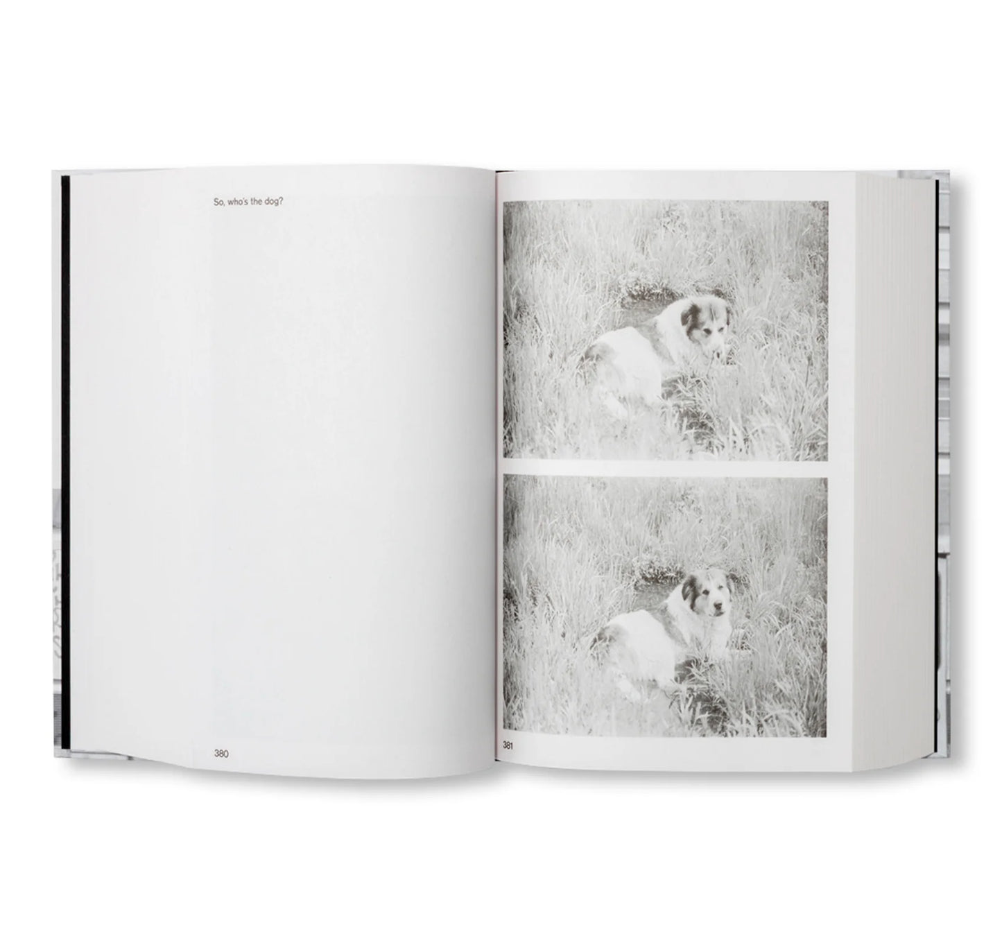 PASSING THROUGH MOVING IN AND GETTING AWAY WITH IT: GORDON MATTA-CLARK NEW YORK CITY GRAFFITI PHOTOGRAPHS, 1972–73 by Gordon Matta-Clark [SECOND PRINTING]