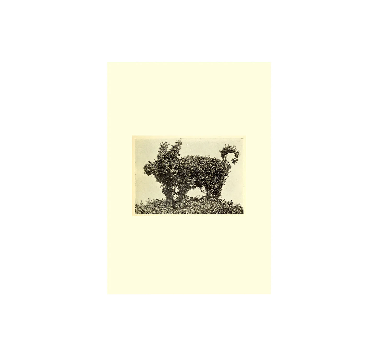 THESAURUS OF CHILD ECOLOGY