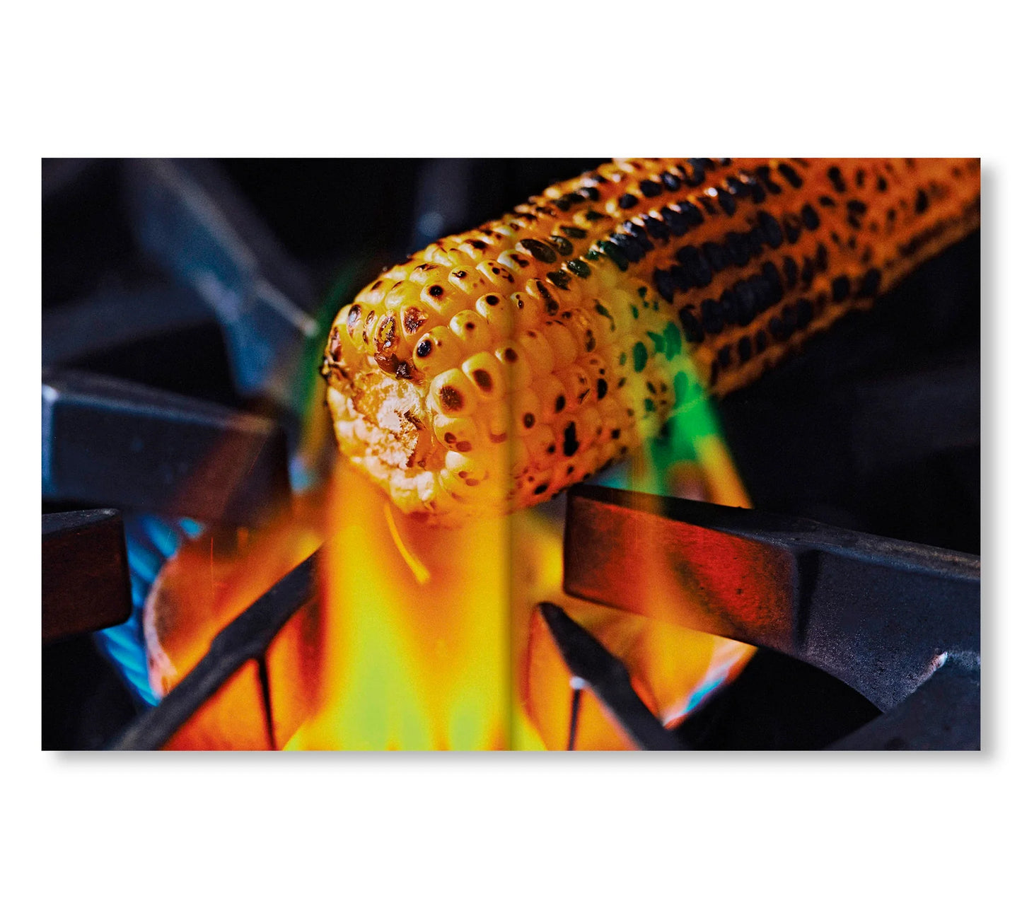 EL BAJÍO: RECIPES & WANDERINGS