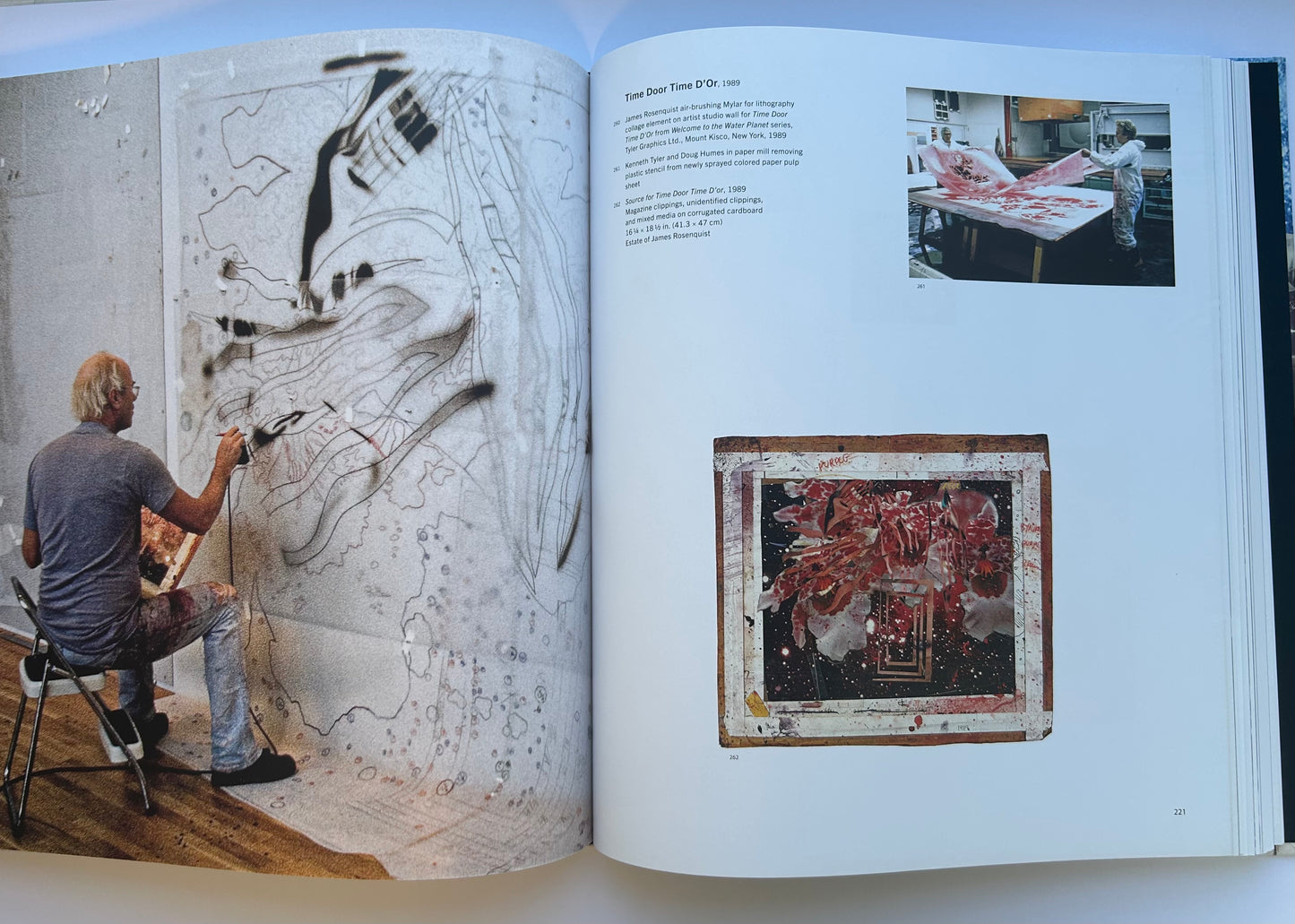 Painting as Immersion　by James Rosenquist