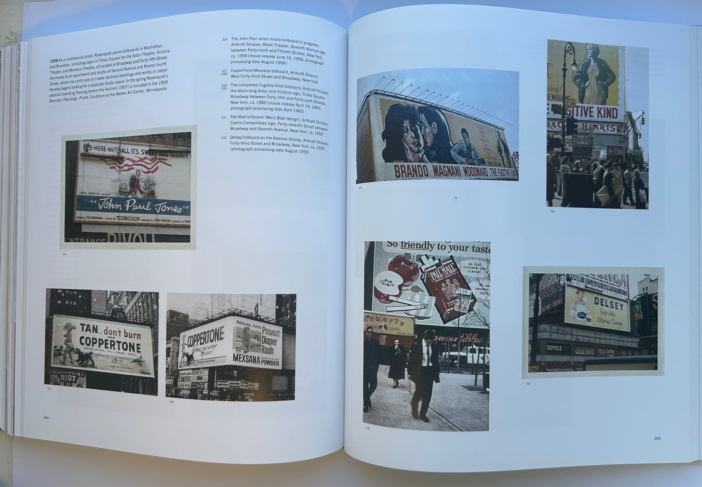 Painting as Immersion　by James Rosenquist