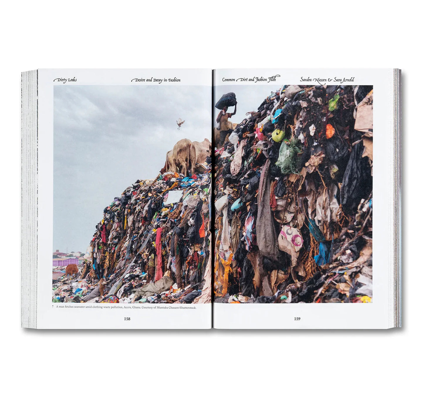 Dirty Looks: Desire and Decay in Fashion