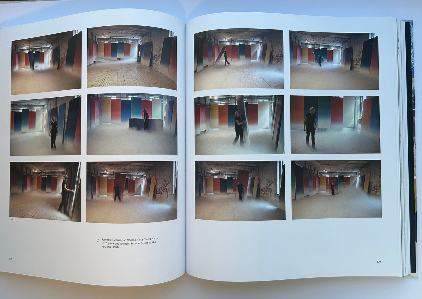 Painting as Immersion　by James Rosenquist