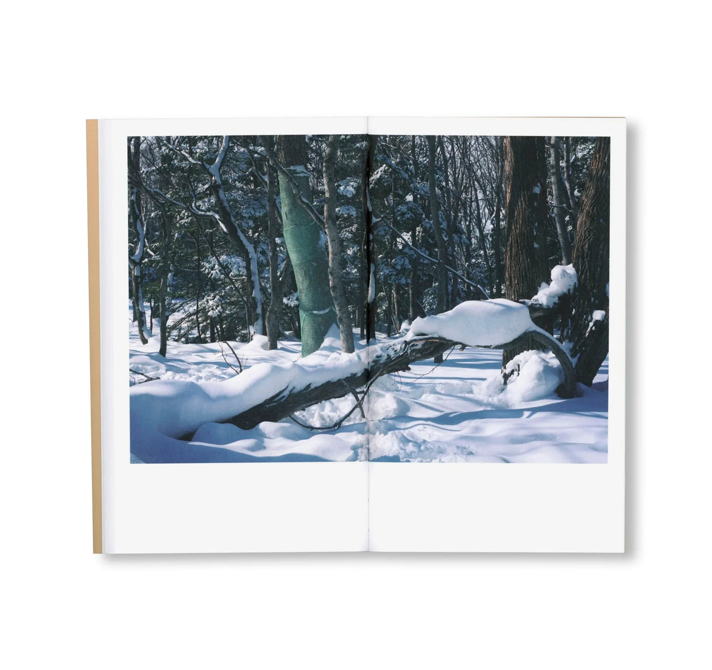 BTS  by Takashi Homma