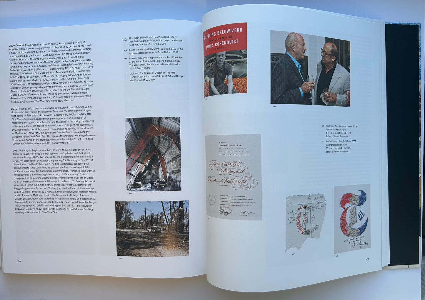 Painting as Immersion　by James Rosenquist