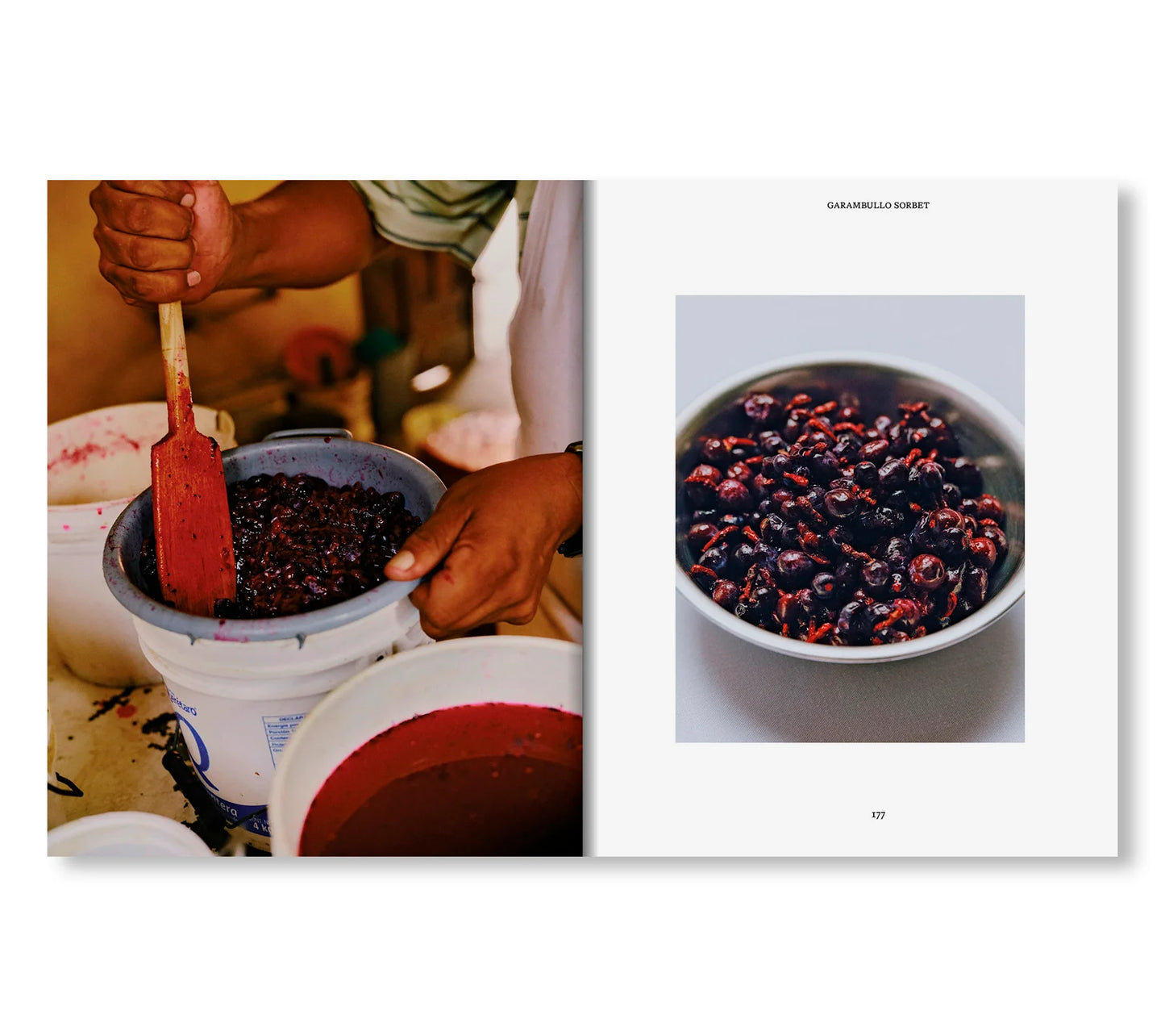 EL BAJÍO: RECIPES & WANDERINGS