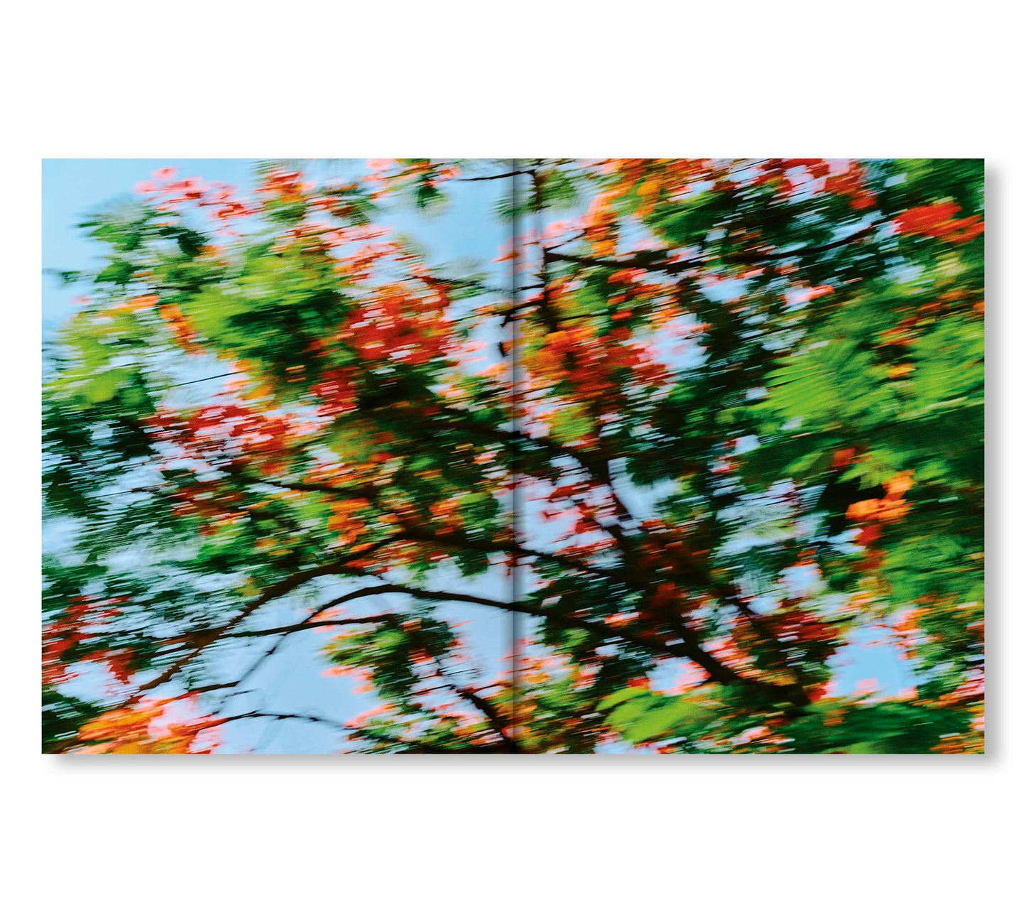 EL BAJÍO: RECIPES & WANDERINGS