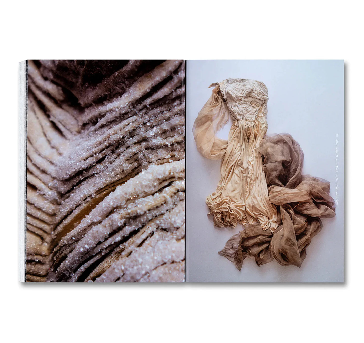 Dirty Looks: Desire and Decay in Fashion