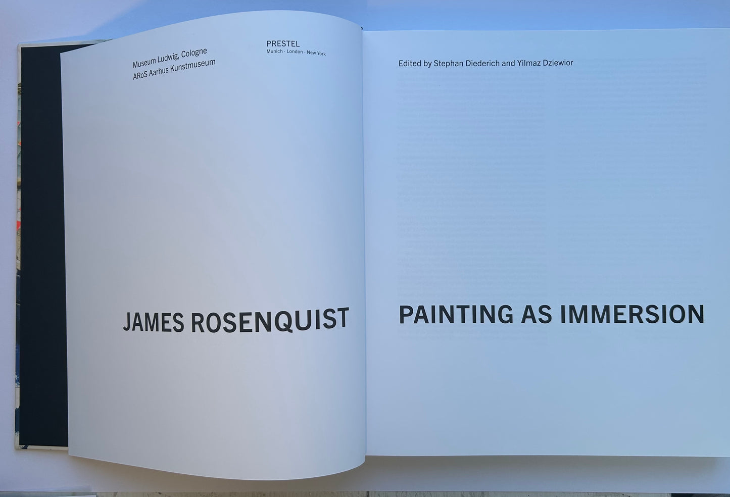 Painting as Immersion　by James Rosenquist