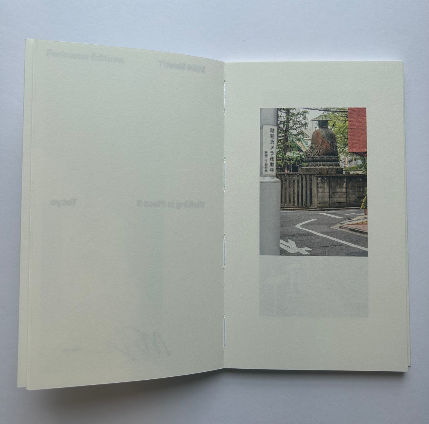 Walking in Place 3: Tokyo  by Mike Slack