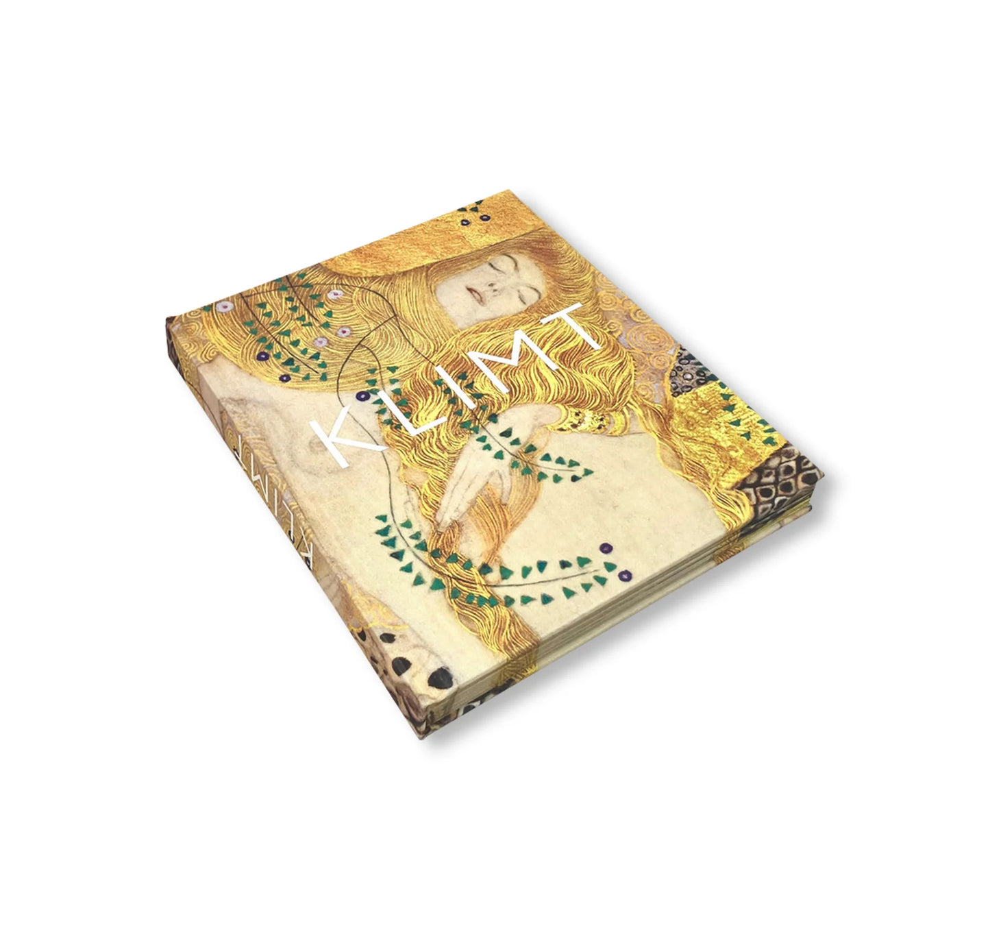 KLIMT - THE BIGGER PICTURE  by Philippe Thiébaut