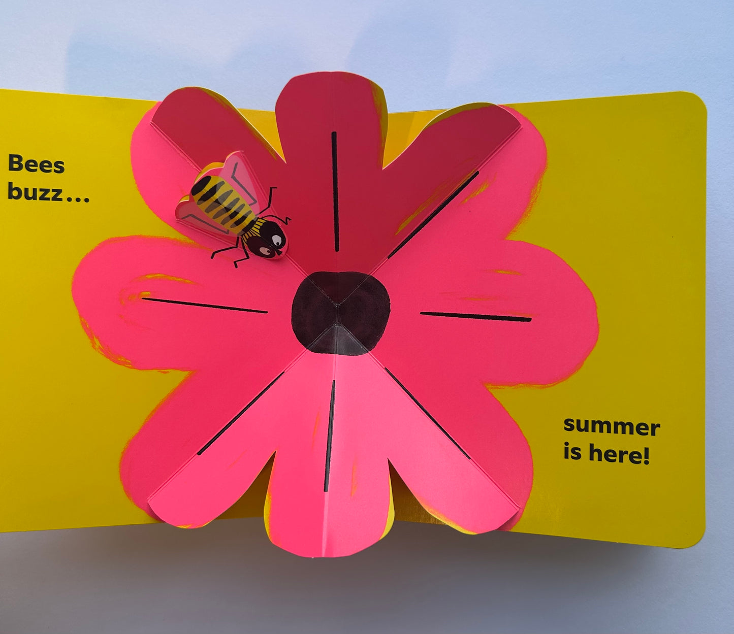 Summer Pops Up!  by Aurore Petit