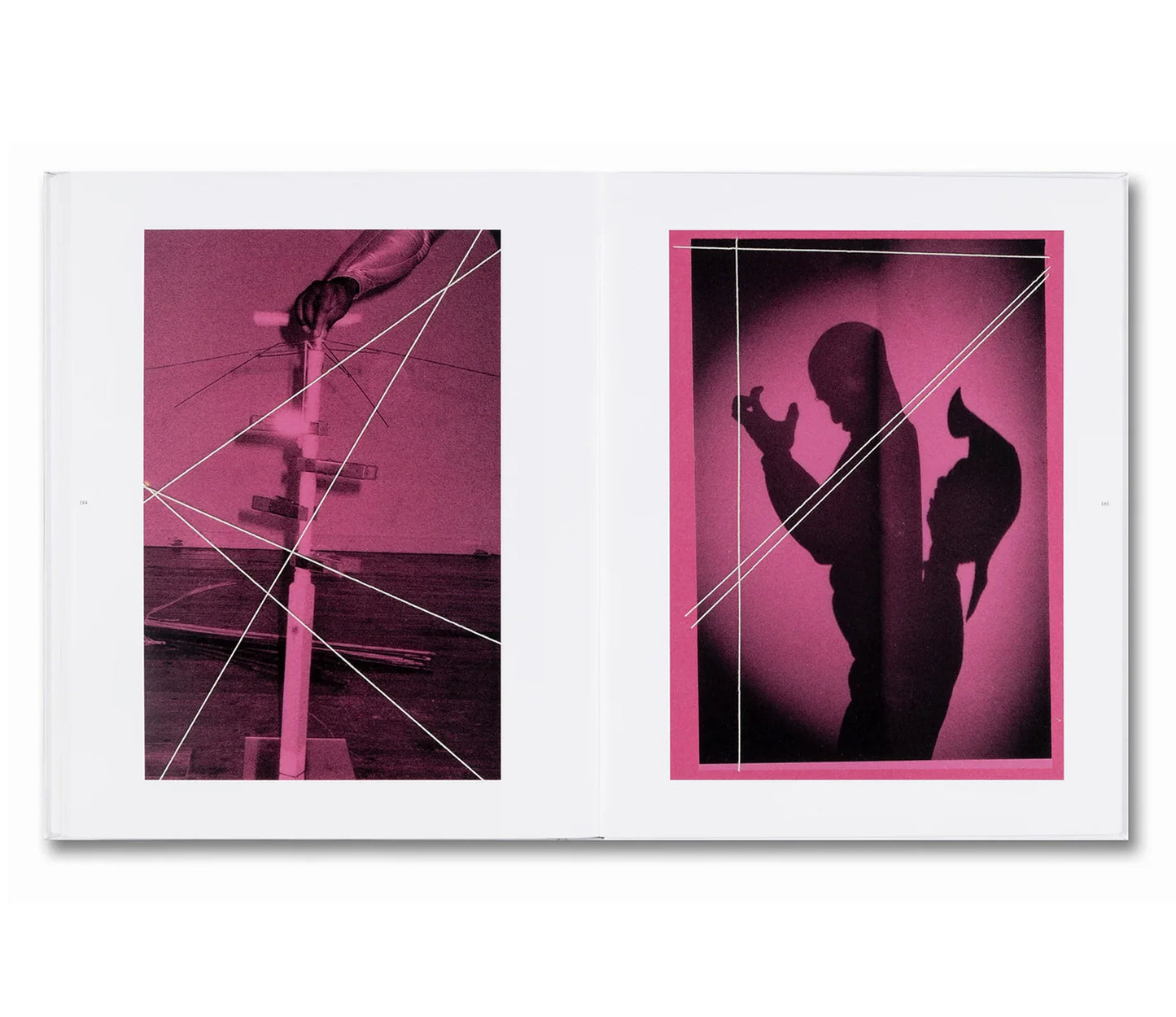 I Will Keep You in Good Company   by Liz Johnson Artur