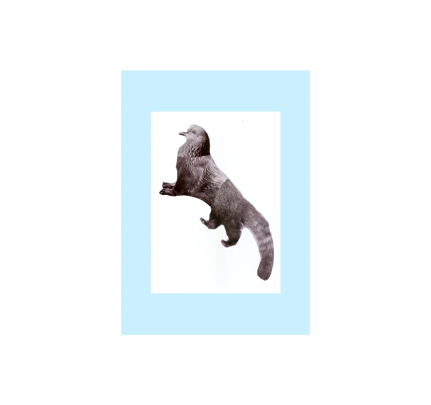 THESAURUS OF CHILD ECOLOGY