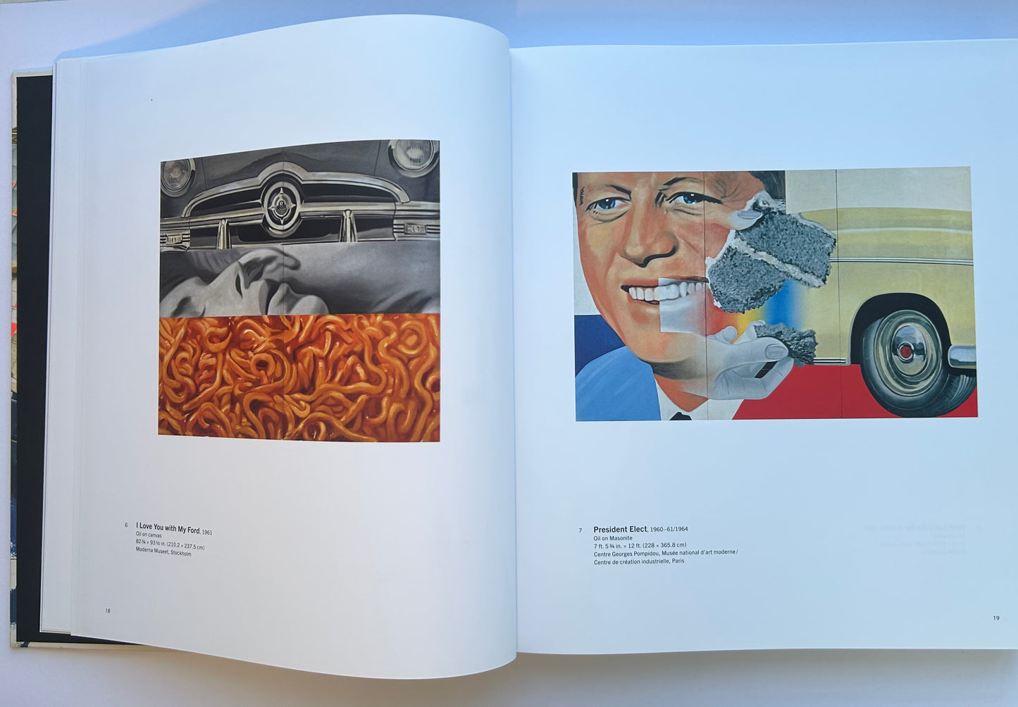 Painting as Immersion　by James Rosenquist