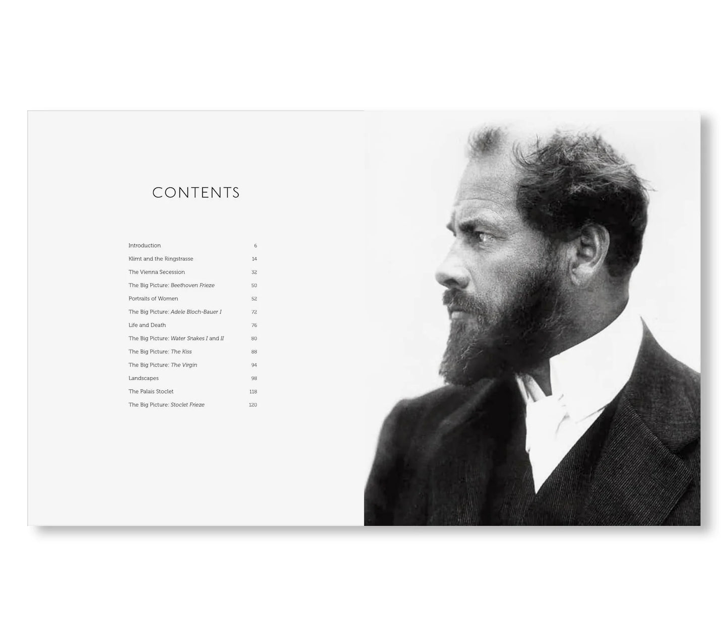 KLIMT - THE BIGGER PICTURE  by Philippe Thiébaut