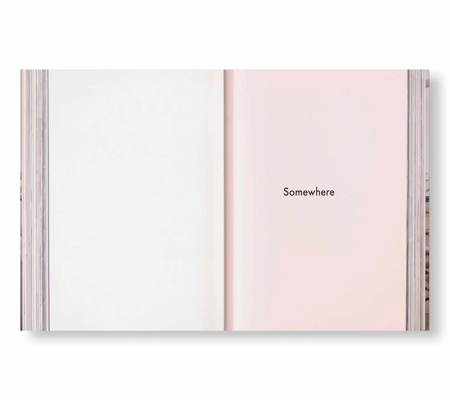 ARCHIVE   by Sofia Coppola