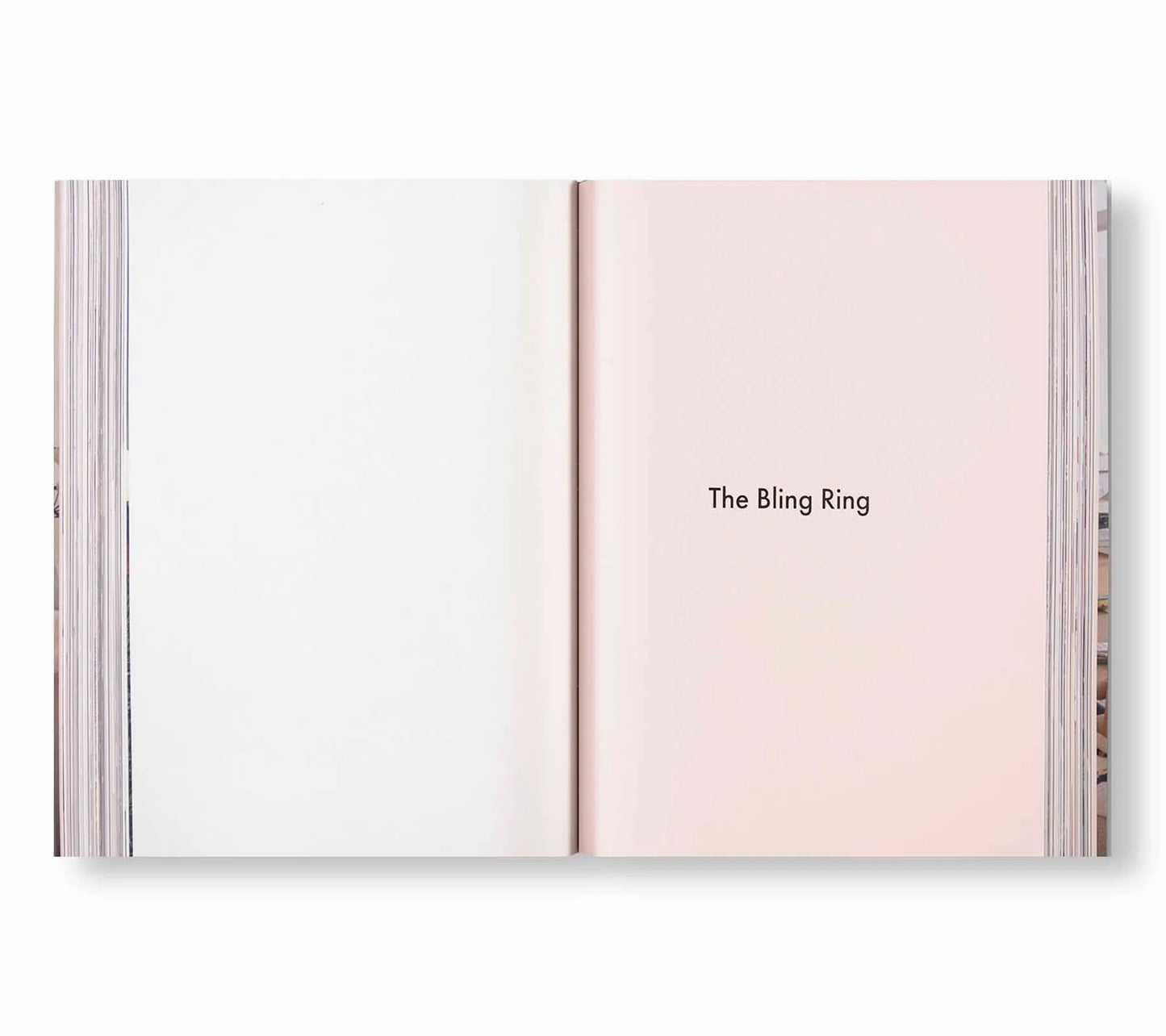 ARCHIVE   by Sofia Coppola