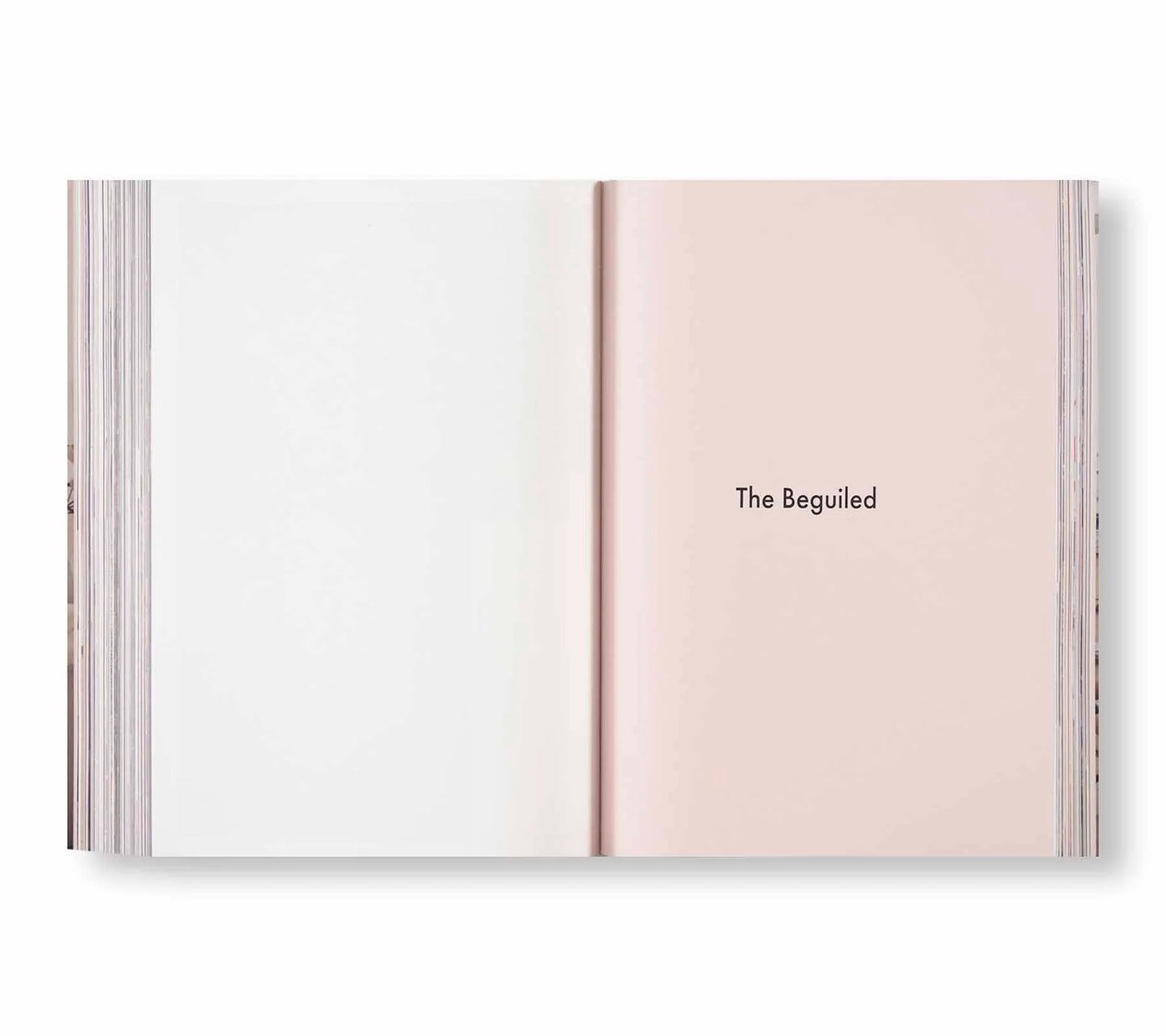 ARCHIVE   by Sofia Coppola