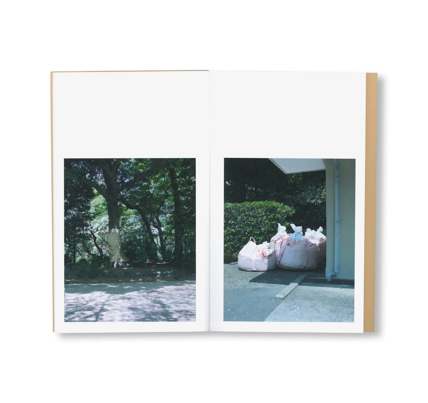 BTS  by Takashi Homma