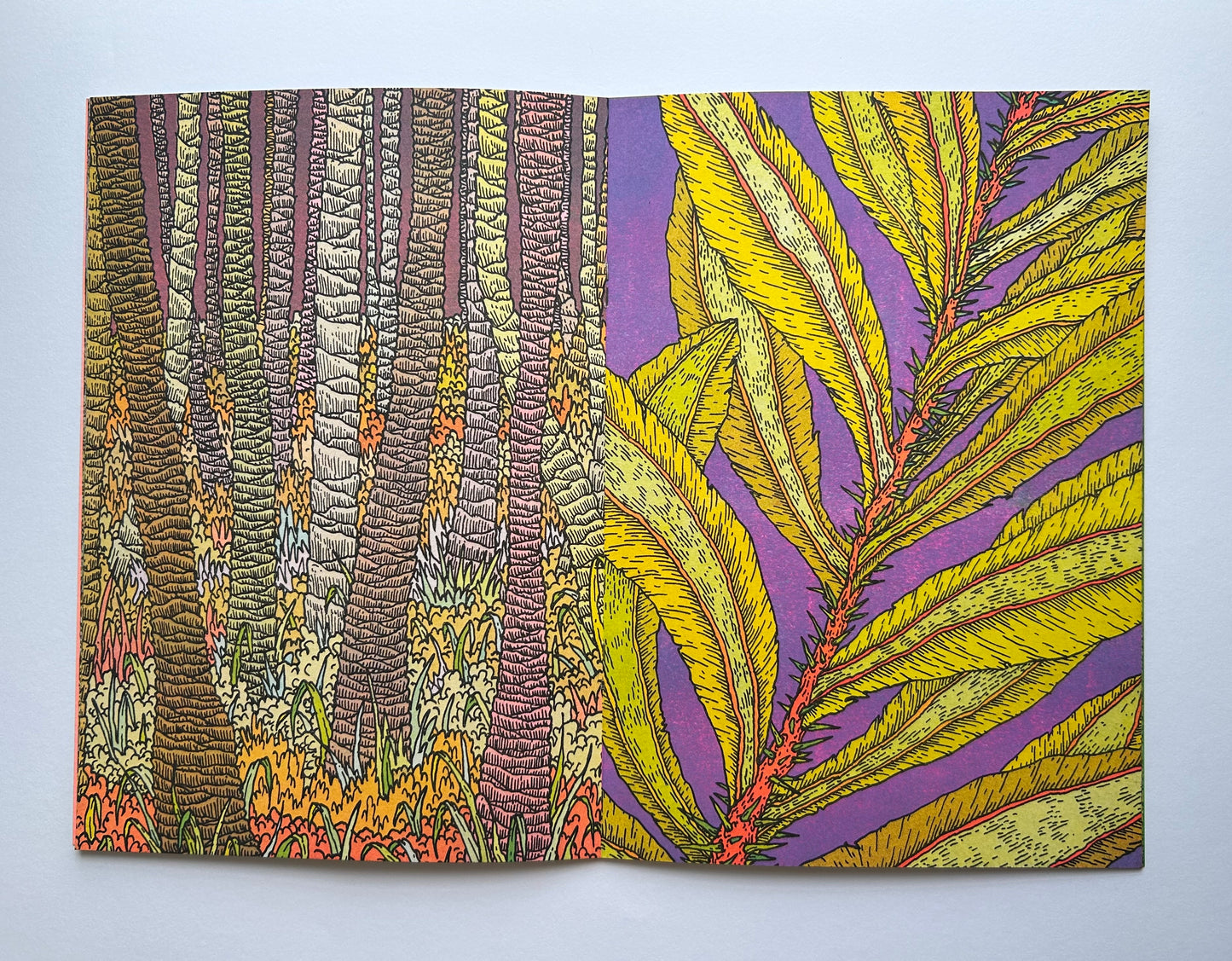 LES SUCCULENTES  by Clement Vuillier
