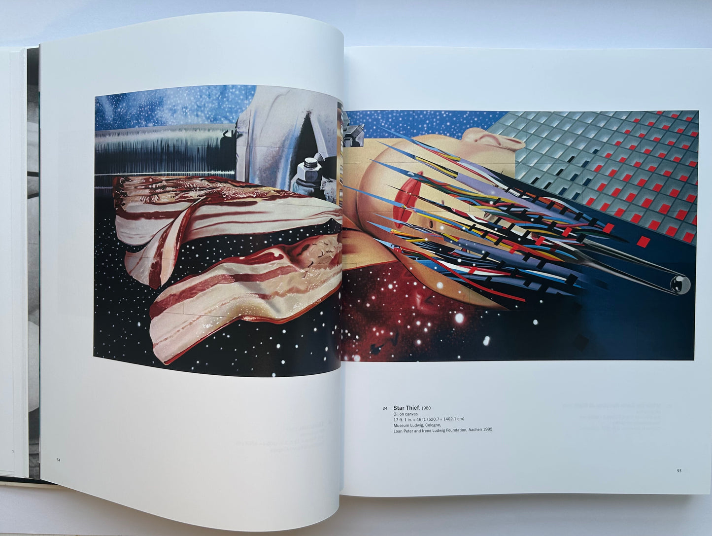 Painting as Immersion　by James Rosenquist