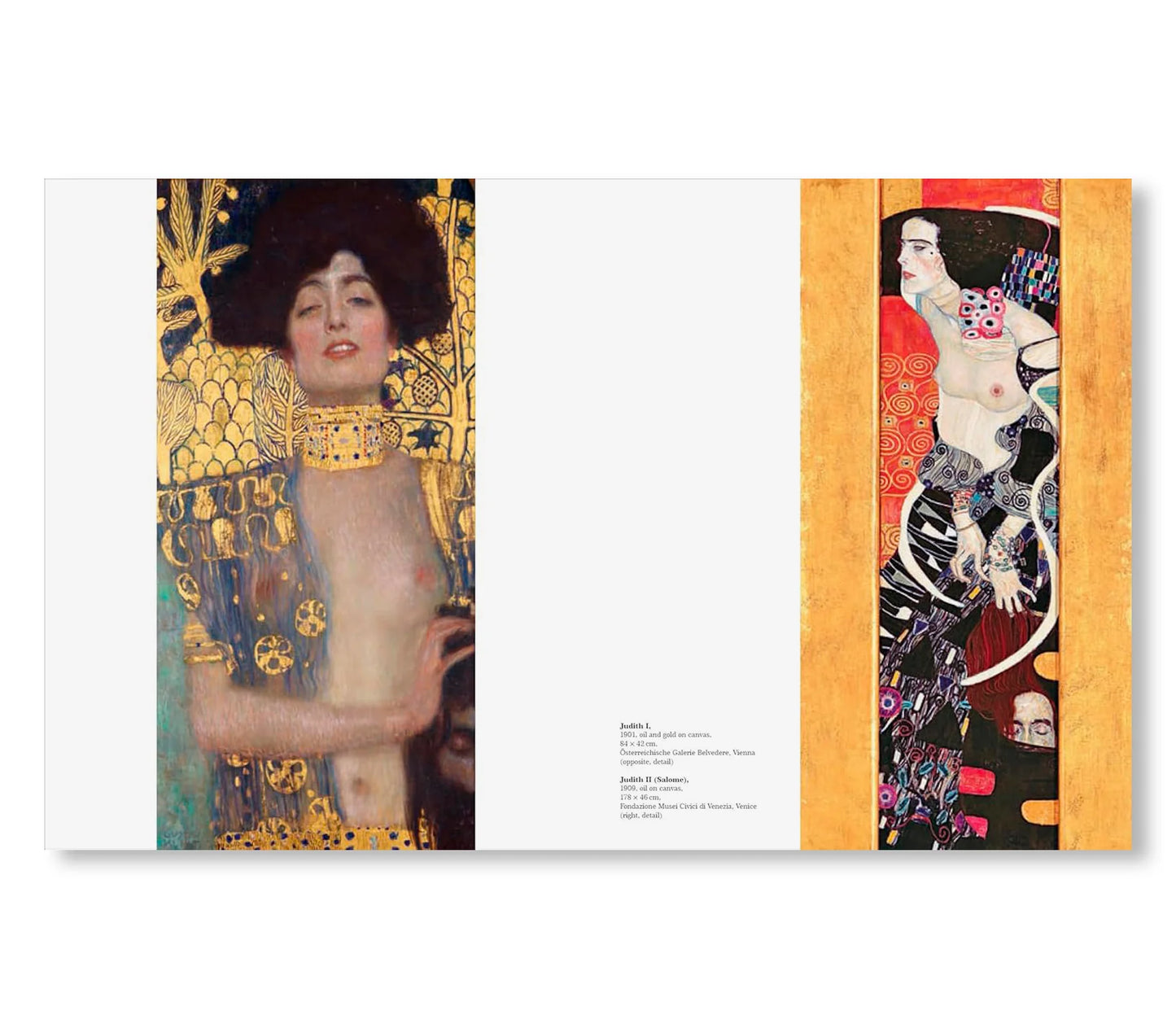 KLIMT - THE BIGGER PICTURE  by Philippe Thiébaut