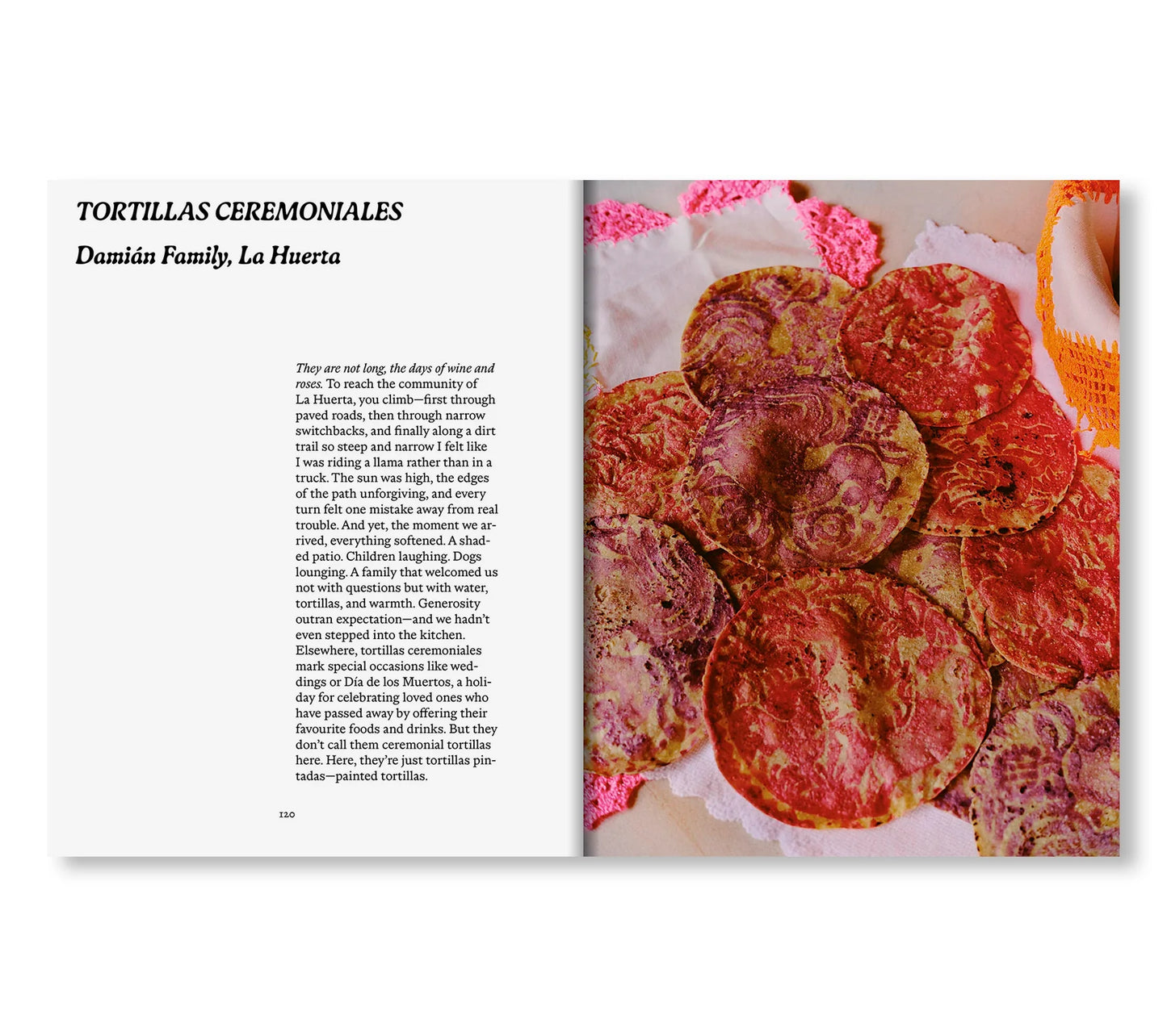 EL BAJÍO: RECIPES & WANDERINGS