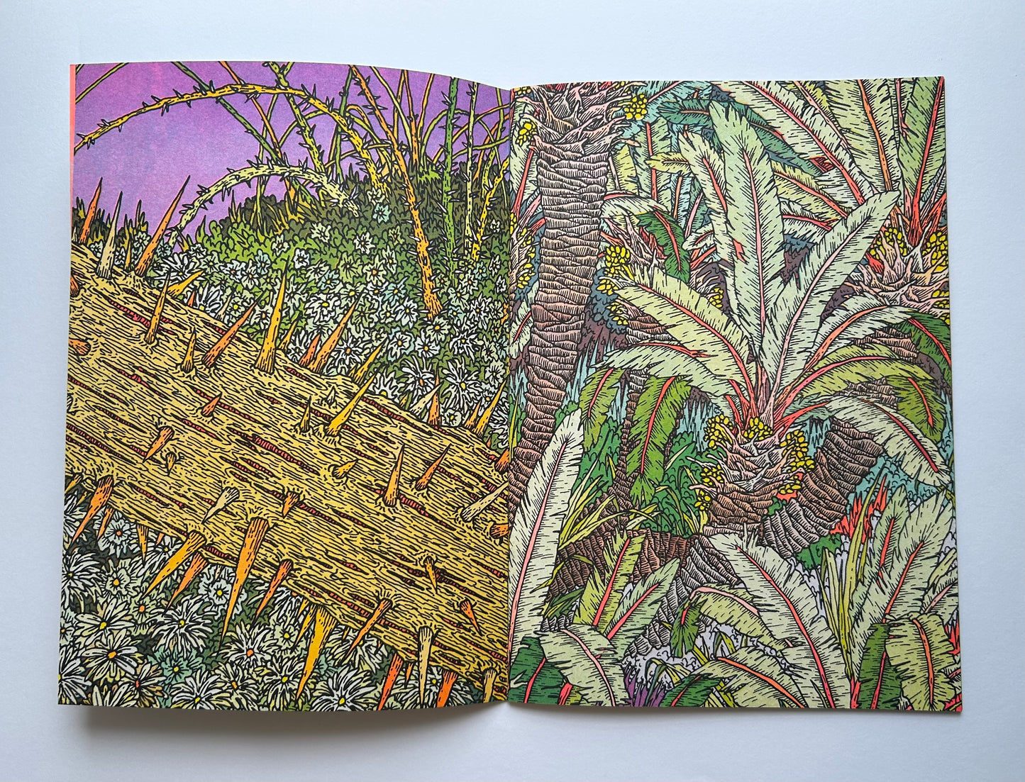 LES SUCCULENTES  by Clement Vuillier