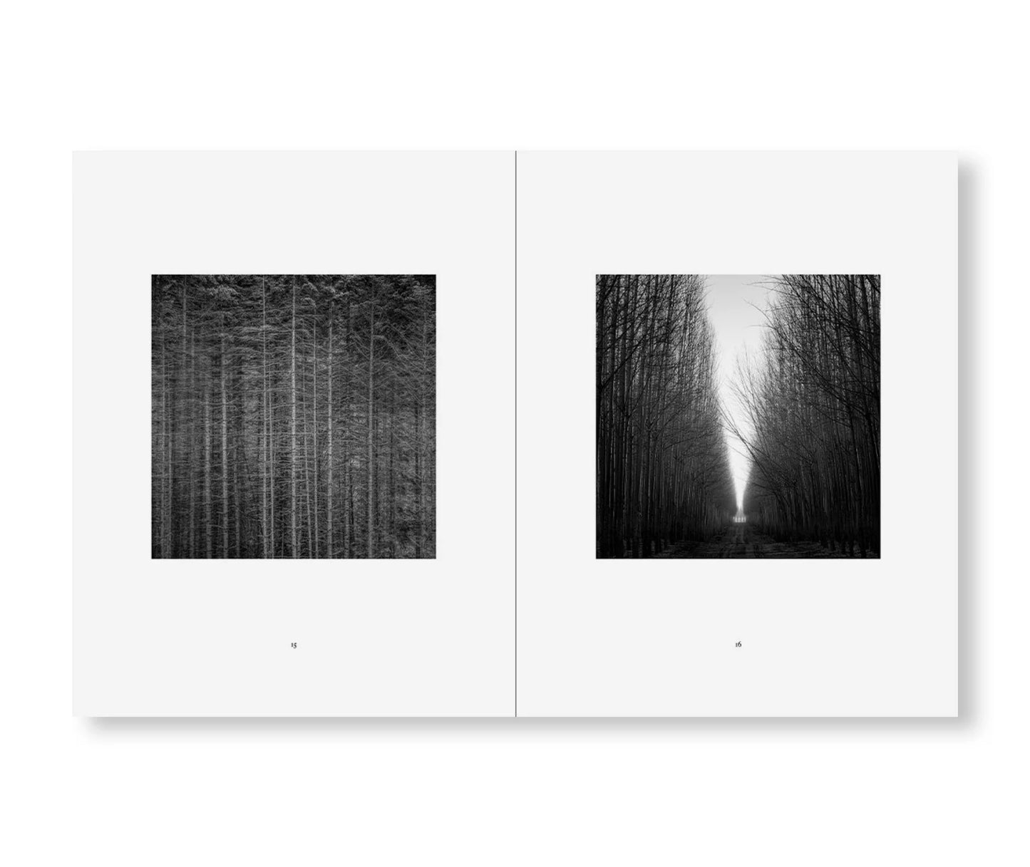 REVERENCE   by Jeffrey Conley [REMASTERED EDITION]