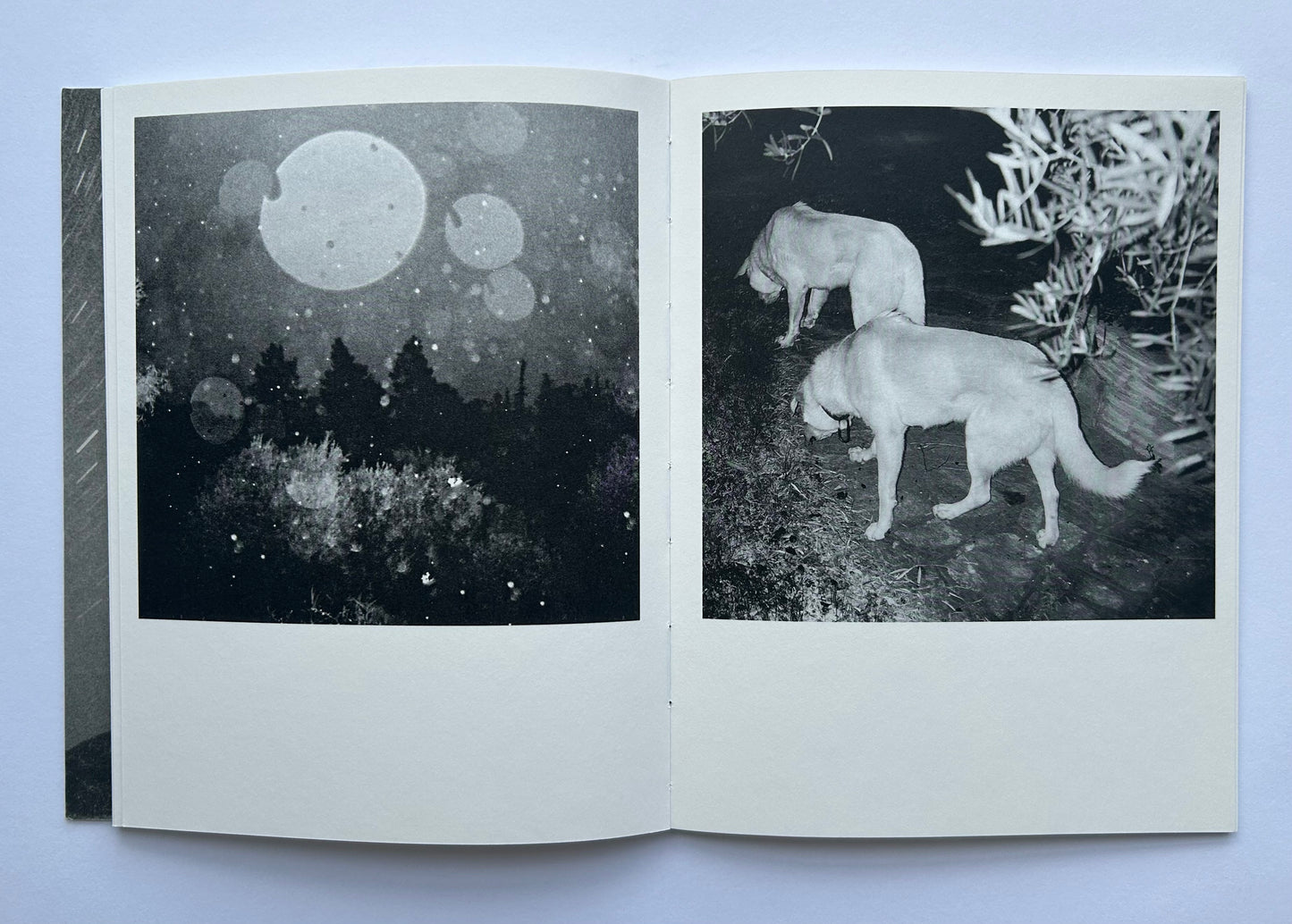 DD／MM／YYYY  by Kostis Argyriadis