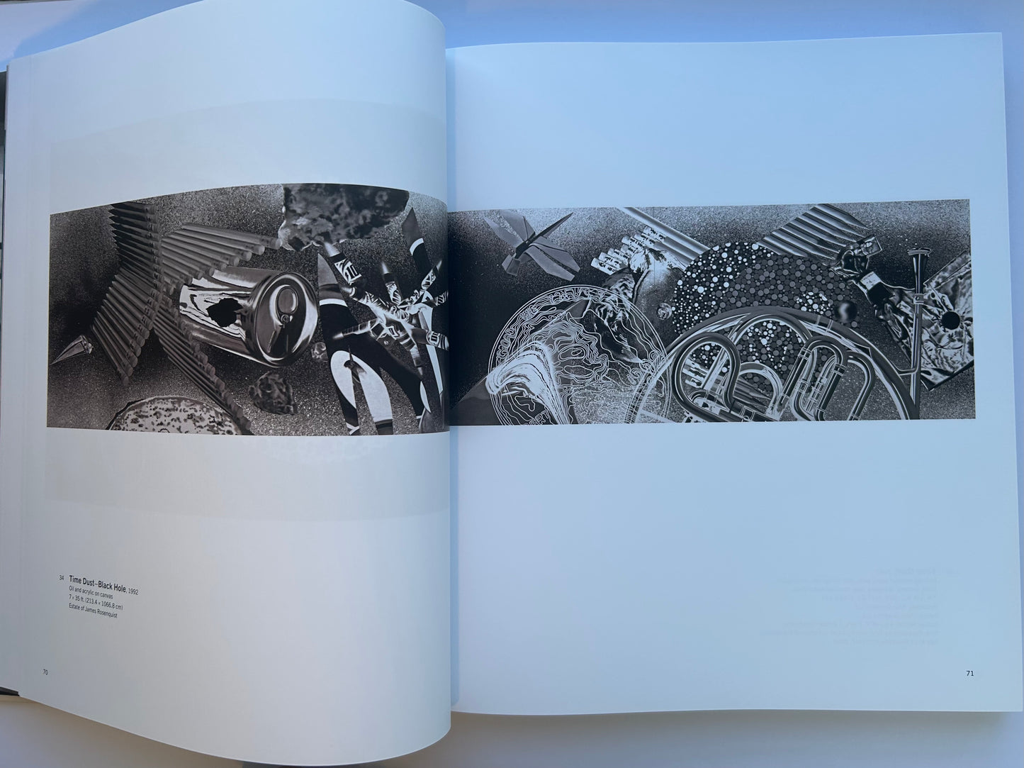 Painting as Immersion　by James Rosenquist