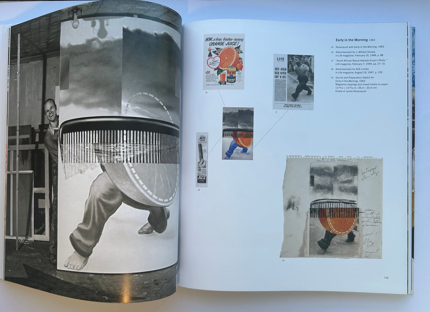 Painting as Immersion　by James Rosenquist