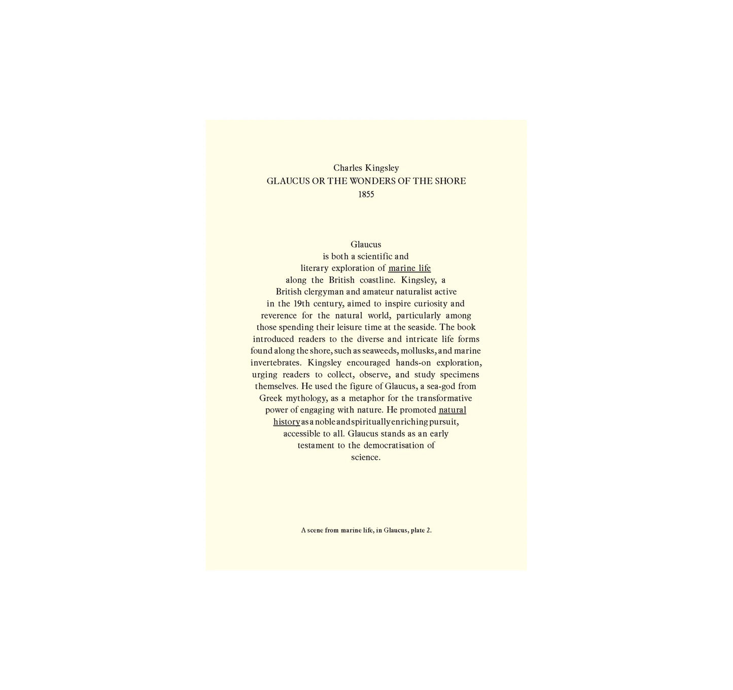 THESAURUS OF CHILD ECOLOGY