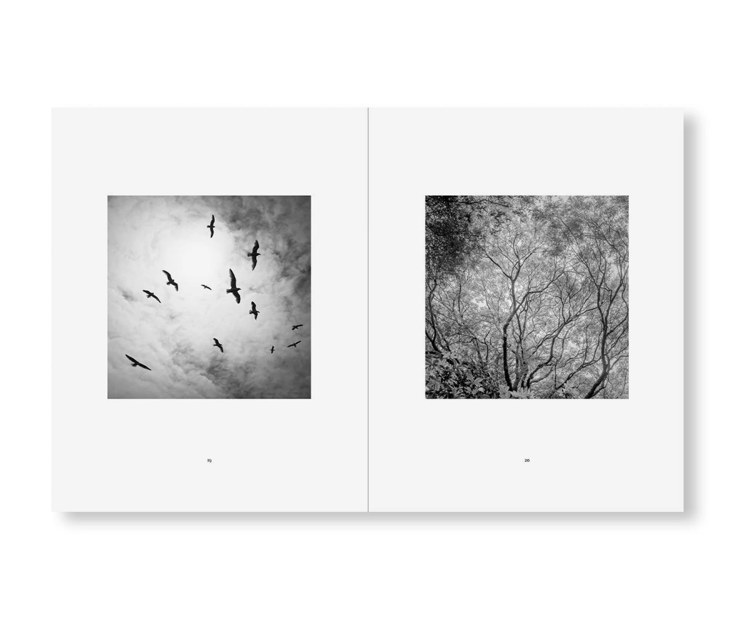 REVERENCE   by Jeffrey Conley [REMASTERED EDITION]