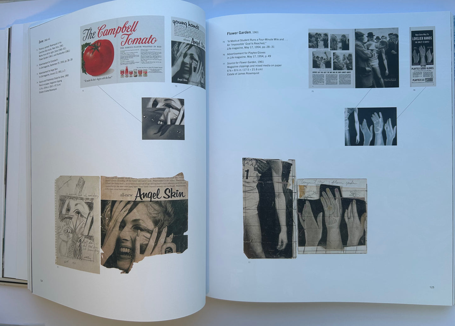Painting as Immersion　by James Rosenquist