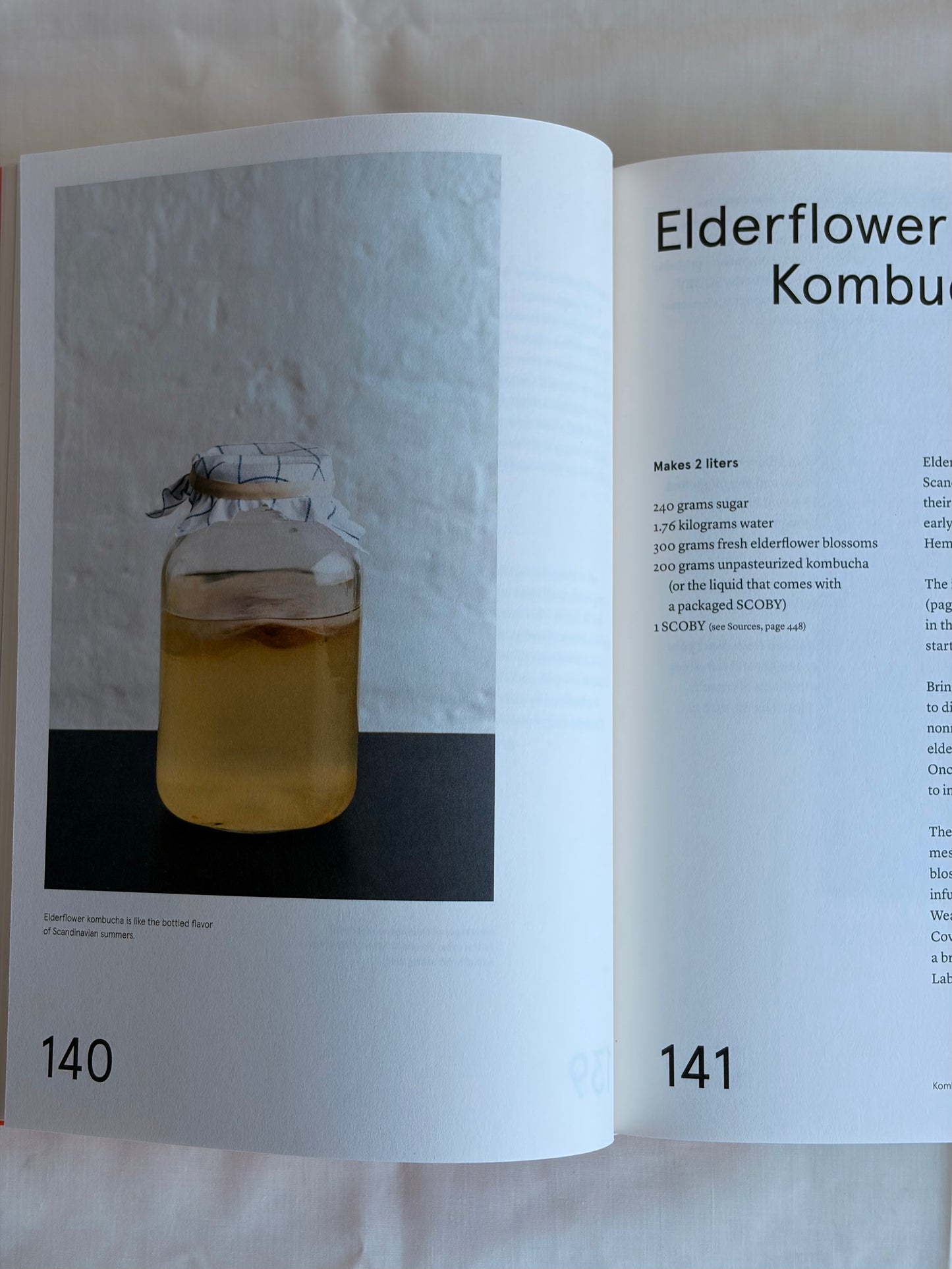 The Noma Guide to Fermentation  by René Redzepi & David Zilber